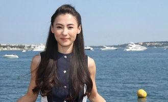 张柏芝爆料娱乐圈事件,真相与谎言的交织